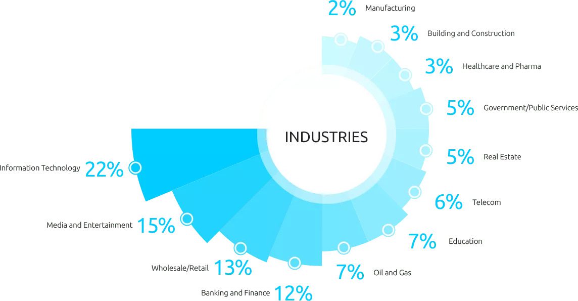 vis-info-industries-solutions